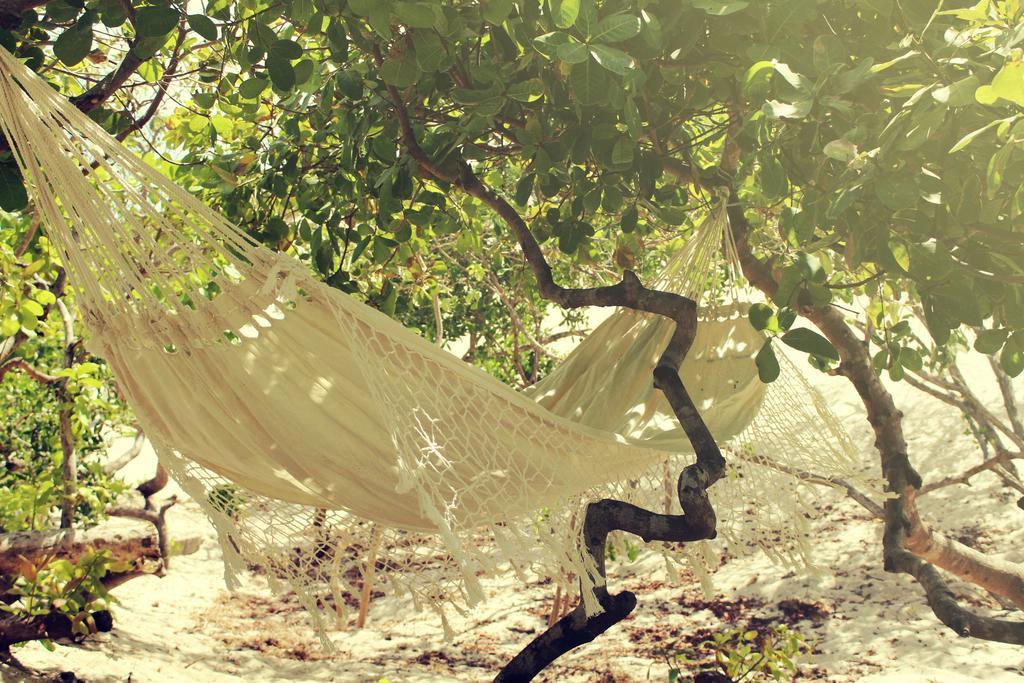 Eco Kite Dunas Prea Ngoại thất bức ảnh